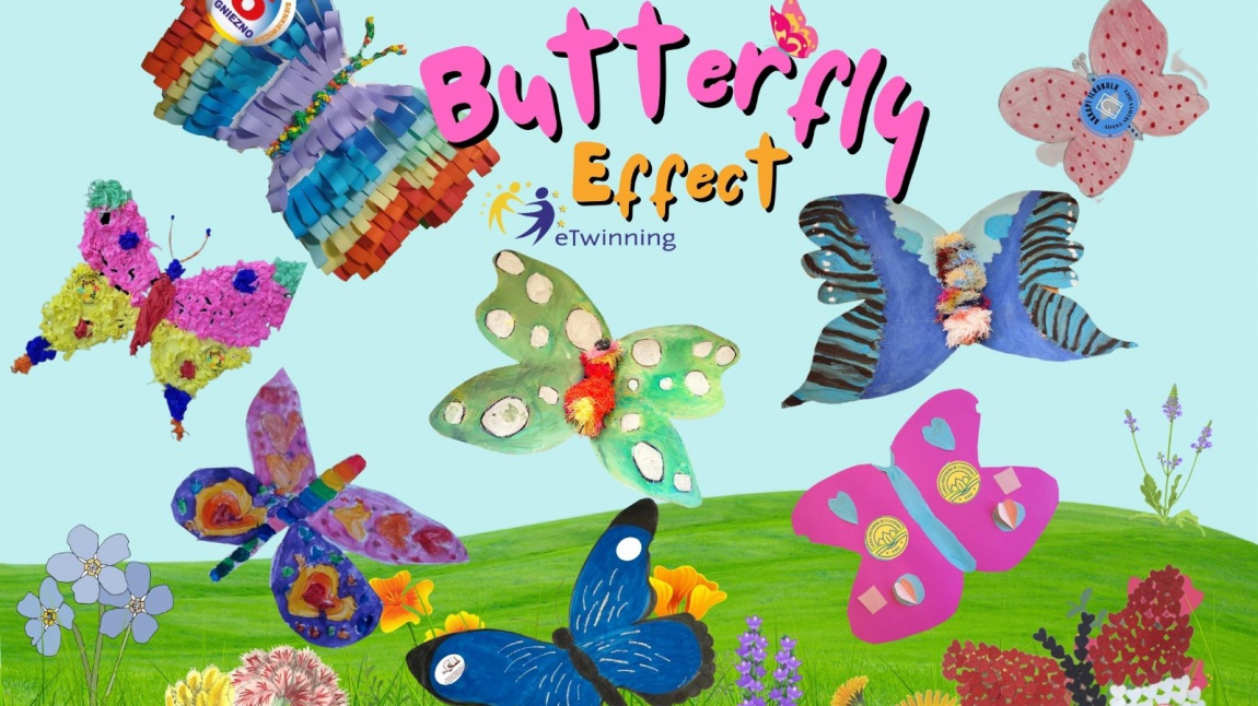 2/A SINIFI BUTTERFLY EFFECT -KELEBEK ETKİSİ-